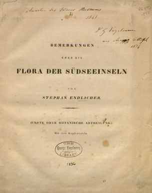 Bemerkungen über die flora der Südseeinseln