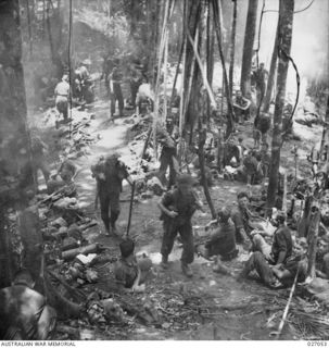 PAPUA, NEW GUINEA. 1942-10. MEMBERS OF THE 2/1ST, 2/2ND AND 2/3RD AUSTRALIAN INFANTRY BATTALIONS COMPRISING THE 16TH AUSTRALIAN INFANTRY BRIGADE MOVING UP ALONG THE TRACK ACROSS THE OWEN STANLEY ..