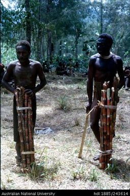 Men standing with bamboo shields