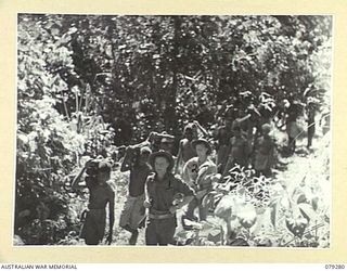 KAMANDRAN, NEW BRITAIN. 1945-02-19. AUSTRALIAN NEW GUINEA ADMINISTRATIVE UNIT TROOPS CARRYING MORTAR BOMBS UP TO THE AUSTRALIAN TROOPS IN THE FORWARD AREAS. SEEN IS:- CORPORAL H.N. WEBSTER, 28TH ..