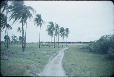 The road to Porebada : Port Moresby, Papua New Guinea, 1953 / Terence and Margaret Spencer