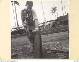 MOEM, WEWAK AREA, NEW GUINEA, 1945-09-17. CRAFTSMAN A. MEINETT, 2/4 ARMOURED REGIMENT DETACHMENT WITH 4 INFANTRY TROOPS WORKSHOP, SAWING TIMBER INTO LENGTHS