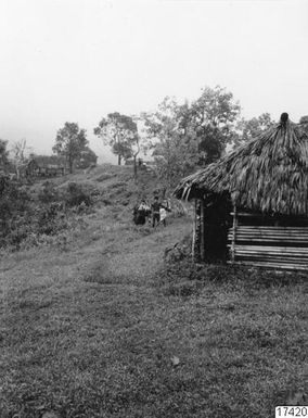 bearbar, house, landscape, taro, view, photography, ph