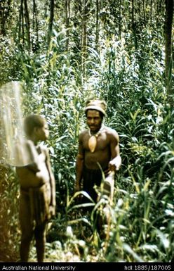 Man and boy standing in forest
