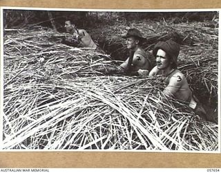 ANTIRIGAN, NEW GUINEA, 1943-09-25. MEN OF THE 2/6TH AUSTRALIAN INDEPENDENT COMPANY ENTRENCHED IN THE MOST FORWARD POSITION IN THE MARKHAM VALLEY. THEY ARE, LEFT TO RIGHT:- NX92193 SAPPER R. ..