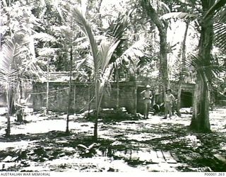 THE SOLOMON ISLANDS, 1945-10-12. SECTION OF A FORMER JAPANESE HEADQUARTERS AREA ON BOUGAINVILLE ISLAND. (RNZAF OFFICIAL PHOTOGRAPH.)