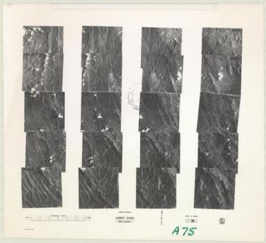Stereo assembly Papua New Guinea. (Albert Divide , sheet 3)