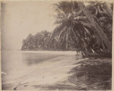 Lukunor, 1886