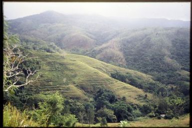 Ancient Melanesian terracing