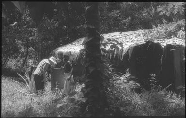 Looking for anopheline mosquito larvae (6) : Nissan Island, Papua New Guinea, 1960 / Terence and Margaret Spencer