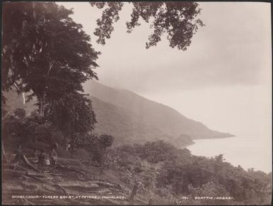 Vureas Bay at St. Peters, Vanua Lava, Banks Islands, 1906 / J.W. Beattie