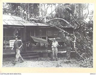 TOROKINA, BOUGAINVILLE. 1945-07-19. A DANGEROUS TREE, FELLED BY ENGINEERS, WHICH FELL ON TOP OF THE BATTLE ROOM AT HEADQUARTERS 2 CORPS, BEING CLEARED