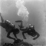 Divers near the ocean floor off Vava'u Island, Tonga