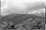 Schrader Range: Fainjur in distance, with forest and clearings