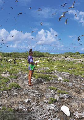 Pacific Islands Regional Marine Species Programme 2022-2026: Seabird Action Plan