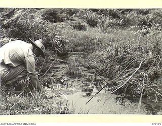 FINSCHHAFEN AREA, NEW GUINEA. 1944-04-09. VX102759 CAPTAIN I.C. MACDONALD, MALARIOLOGIST, 2ND AUSTRALIAN CORPS, WITH THE 15TH MALARIA CONTROL UNIT EXAMINING A SLUGGISH STREAM WHICH EMERGES FROM A ..