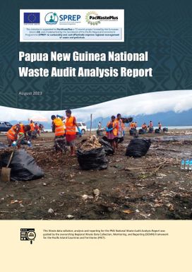 Papua New Guinea National Waste Audit Analysis Report - August 2023