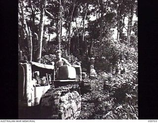 DONADABU, NEW GUINEA. 1943-11-09. TROOPS OF THE 9TH AUSTRALIAN WORKSHOPS AND PARKS COMPANY, ROYAL AUSTRALIAN ENGINEERS DRAGGING LOGS TO THE EILOGO SAWMILL. VX130879 SAPPER (SPR) W. K. ATWELL IS ..