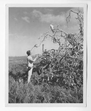 [Soldier with a Bird]