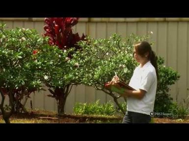 PBS Hawaii - HIKI NŌ Episode 204 | Kamehameha Schools Kapalama | Going Green