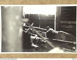 SHAGGY RIDGE, NEW GUINEA. 1944-01-22. AFTER TROOPS OF THE 2/12TH INFANTRY BATTALION HAD PULLED THEMSELVES, HAND OVER HAND, UP ROPES ON THE FACE OF MOUNT PROTHERO, THEY FOUND THAT THE WHOLE CREW OF ..