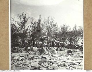 ELA BEACH, NEW GUINEA. 1943-11-13. THE FINAL OF THE 12 INCH UNDER HAND WOODCHOP AT THE COMBINED SERVICES SPORTS CARNIVAL