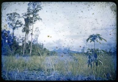 Mt. Lamington from Popondetta, 1951, 1 / Albert Speer