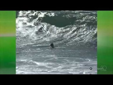 "Banzai Pipeline" by Waialua High & Intermediate School | HIKI NŌ 102 | PBS HAWAIʻI