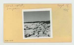 [Coral uplift in Hawaii, envelope IE30-159]