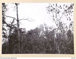 WEWAK AREA, NEW GUINEA, 1945-06-17. HILL 2 AT THE COMMENCEMENT OF THE AERIAL AND ARTILLERY BOMBARDMENT. SEE PHOTOS 93161 AND 93415 FOR VIEWS OF THE SAME HILL AFTER IT HAD BEEN CAPTURED BY B ..