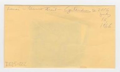 [Cyrtandra grayana in Hawaii, envelope IE25-222]