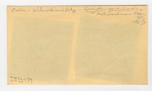 [Scaevola gaudichaudiana and Metrosideros in Hawaii, envelope IE33-179]