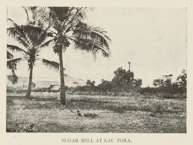 Sugar mill at Lau Toka