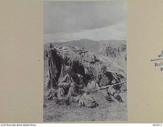 WEWAK POINT, NEW GUINEA, 1945-05-12. CORPORAL C.S. PROSSER (1) AND PRIVATE W.F. RYLES (2), 2/4 INFANTRY BATTALION MEMBERS, CLEANING WEAPONS OUTSIDE THEIR "DOOVERS" (TEMPORARY STRUCTURES). WIRUI ..