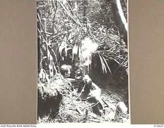 1943-08-30. NEW GUINEA. AUSTRALIANS FIRING A THREE INCH MORTAR AT MOUNT TAMBU. THE SURROUNDINGS ARE TYPICAL OF THE COUNTRY FROM WHICH ALLIED TROOPS DROVE THE JAPANESE AND THEN PUSHED ON TO INVEST ..