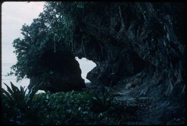 Cave : Buka Island, Bougainville, Papua New Guinea, 1960 / Terence and Margaret Spencer
