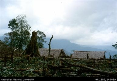 Efonobu bush hamlet, Kuni