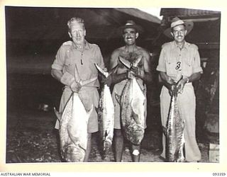 MALMAL VILLAGE, JACQUINOT BAY, NEW BRITAIN, 1945-06-22. OFFICERS OF HQ 5 DIVISION WITH A HAUL BIG FISH THEY HAVE CAUGHT. IDENTIFIED PERSONNEL ARE:- MAJ-GEN H.C.H. ROBERTSON, GOC 5 DIVISION (1); COL ..