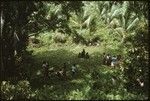 People sitting and standing in groups