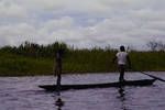 Canoeing along a Sepik River lagoon, [Papua New Guinea, 1969?]