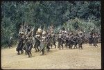 Pig festival, singsing, Kompiai: decorated men carry drums and weapons onto dance ground