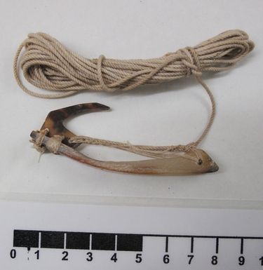 fish hook
