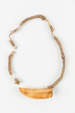 Tabua