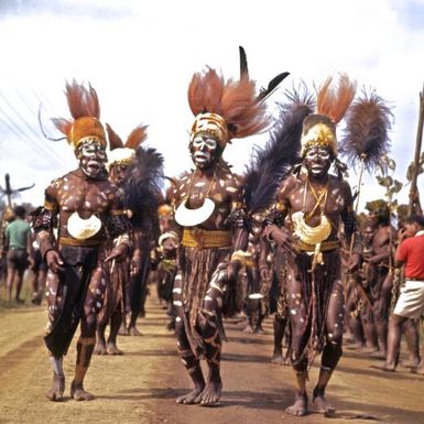 Okapa men from the Mount Hagen area decorated for the Goroka show and wearing hats topped with bird of paradise feathers, Papua New Guinea, approximately 1968 / Robin Smith