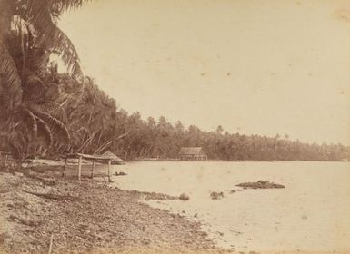 Inside lagoon Manihiki. From the album: Views in the Pacific Islands