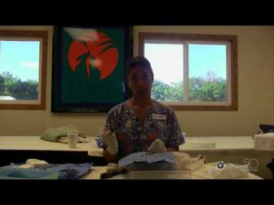 "Towards No More Homeless Pets" | Lahaina Intermediate School | HIKI NŌ 304 | PBS HAWAIʻI