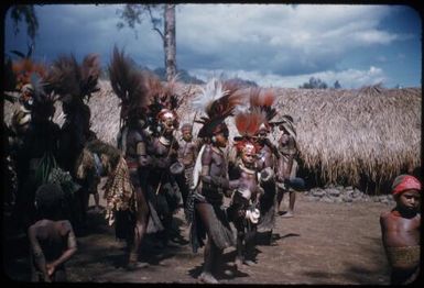 Dancing on the singsing ground: men in all their splendour (8) : The Tengerap Clan Singsing, Wahgi Valley, Papua New Guinea, 1954 / Terence and Margaret Spencer