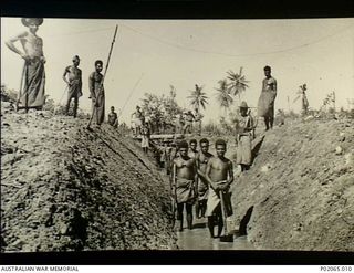 Alexishafen, New Guinea. 1944. A group of indigenous (native) Papuans, working for 17 Field Hygiene Company, digging a drainage trench as a first move to eradicate the malarial mosquito. (Original ..