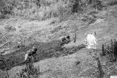 Peasants, rides, business, grips, shovels, men, shirt, cultivation, photography,