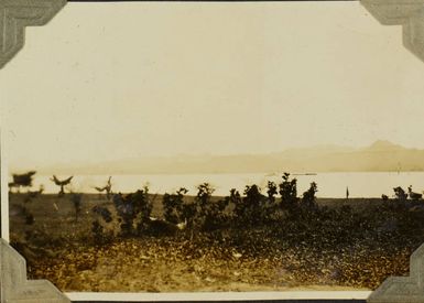 View across the bay at Suva, 1928